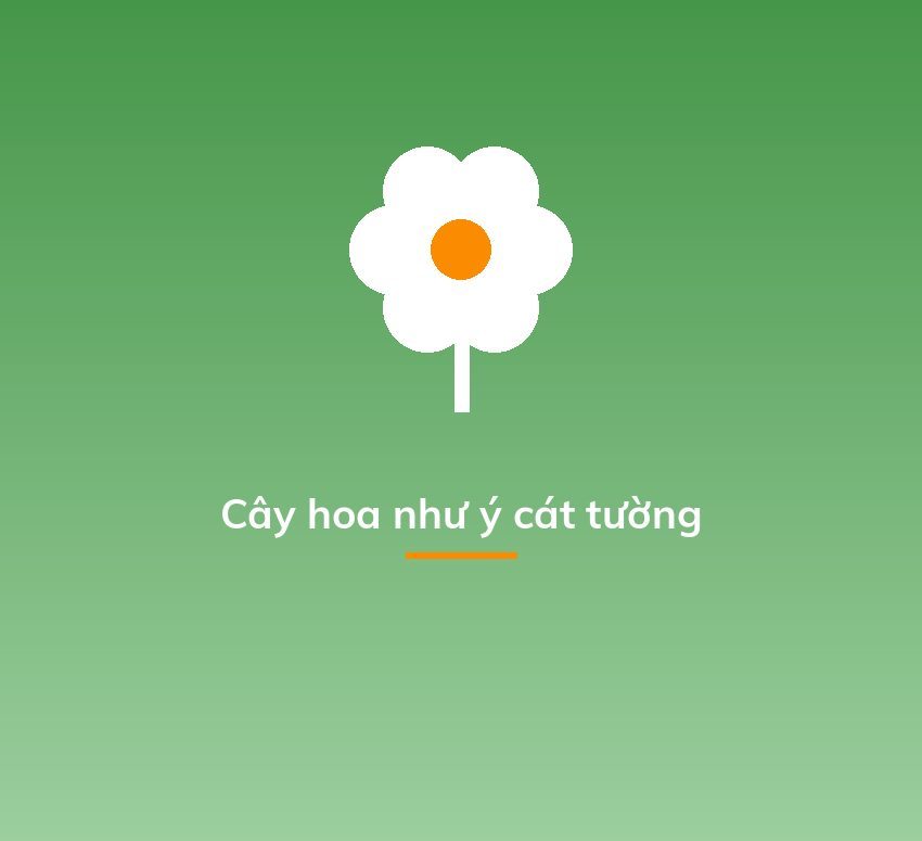 Cây hoa như ý cát tường