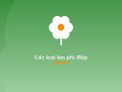 Các loại lan phi điệp
