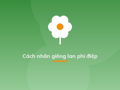 Cách nhân giống lan phi điệp