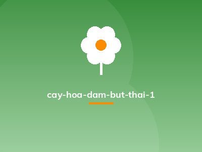 cay-hoa-dam-but-thai-1