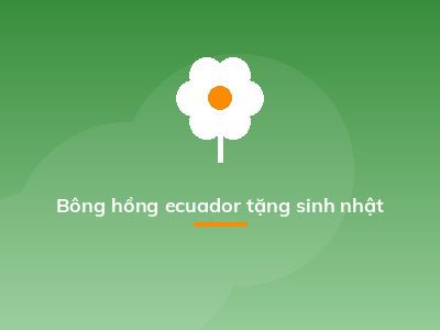 Bông hồng ecuador tặng sinh nhật