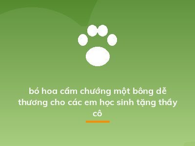 bó hoa cẩm chướng một bông dễ thương cho các em học sinh tặng thầy cô