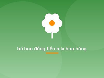 bó hoa đồng tiền mix hoa hồng