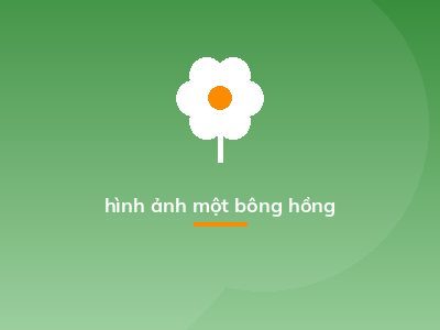 hình ảnh một bông hồng