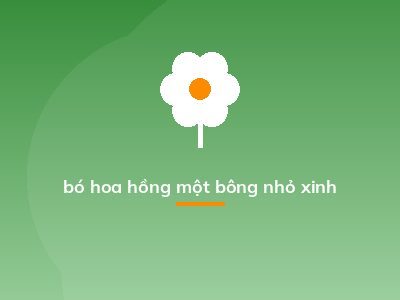 bó hoa hồng một bông nhỏ xinh