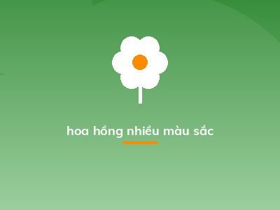 hoa hồng nhiều màu sắc