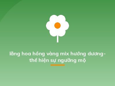 lẵng hoa hồng vàng mix hướng dương- thể hiện sự ngưỡng mộ