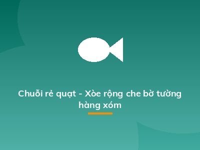 Chuỗi rẻ quạt - Xòe rộng che bờ tường hàng xóm