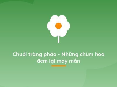 Chuối tràng pháo - Những chùm hoa đem lại may mắn