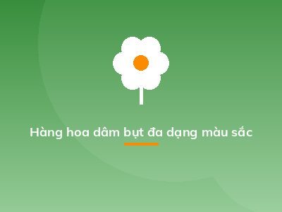 Hàng hoa dâm bụt đa dạng màu sắc