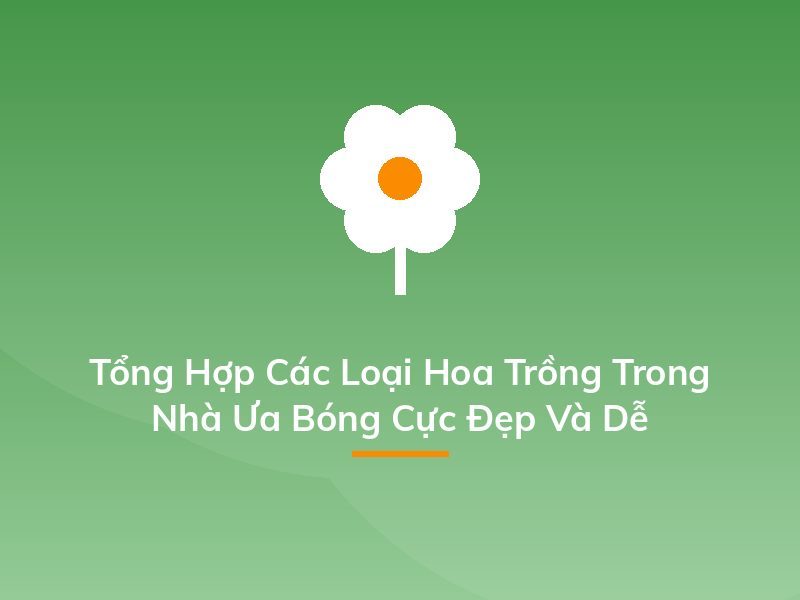 Tổng Hợp Các Loại Hoa Trồng Trong Nhà Ưa Bóng Cực Đẹp Và Dễ