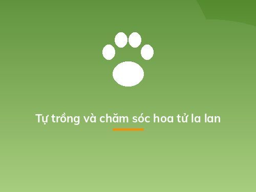 Tự trồng và chăm sóc hoa tử la lan