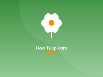 Hoa Tulip cam