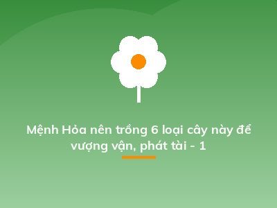 Mệnh Hỏa nên trồng 6 loại cây này để vượng vận, phát tài - 1