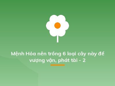 Mệnh Hỏa nên trồng 6 loại cây này để vượng vận, phát tài - 2
