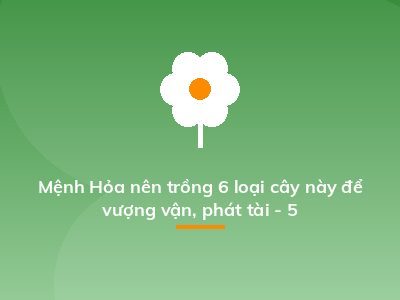 Mệnh Hỏa nên trồng 6 loại cây này để vượng vận, phát tài - 5