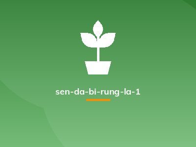 sen-da-bi-rung-la-1