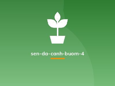 sen-da-canh-buom-4