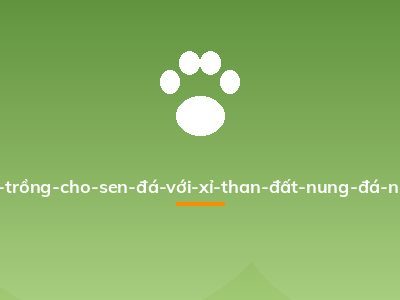 Xử-lý-giá-thể-đất-trồng-cho-sen-đá-với-xỉ-than-đất-nung-đá-nham-thạch-perlite