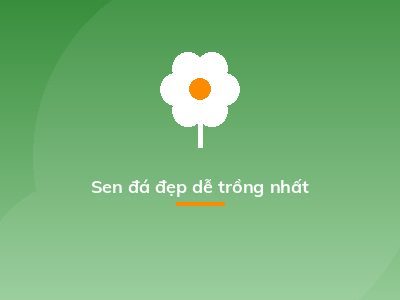 Sen đá đẹp dễ trồng nhất