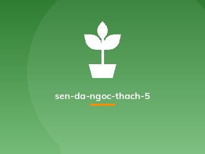 sen-da-ngoc-thach-5