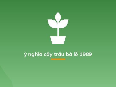 ý nghĩa cây trầu bà lỗ 1989