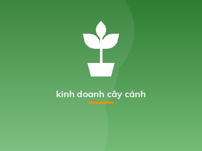 kinh doanh cây cảnh