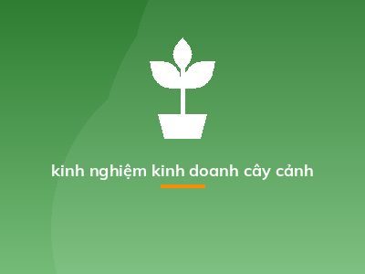 kinh nghiệm kinh doanh cây cảnh