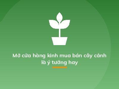 Mở cửa hàng kinh mua bán cây cảnh là ý tưởng hay