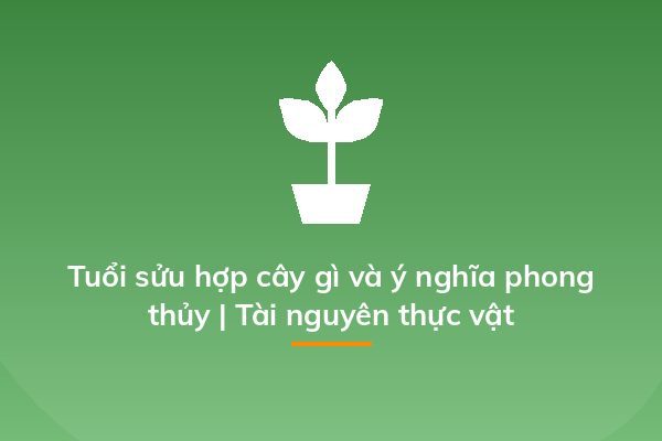 Tuổi sửu hợp cây gì và ý nghĩa phong thủy | Tài nguyên thực vật