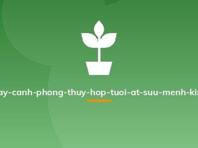 cay-canh-phong-thuy-hop-tuoi-at-suu-menh-kim
