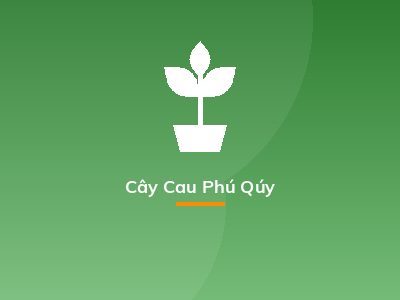 Cây Cau Phú Qúy