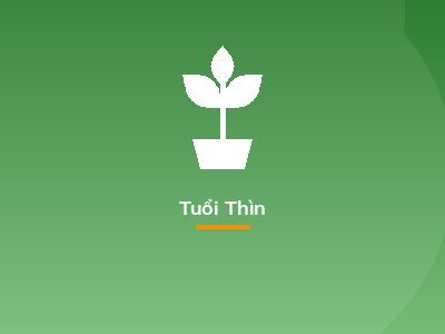 Tuổi Thìn