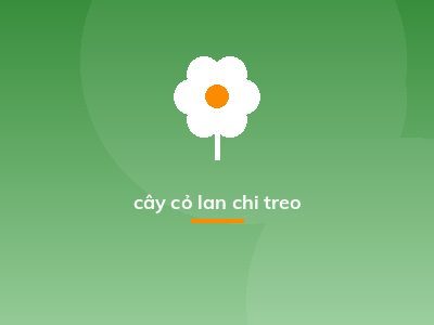 cây cỏ lan chi treo