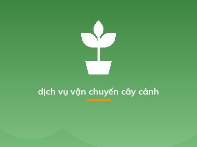dịch vụ vận chuyển cây cảnh