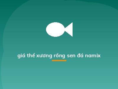 giá thể xương rồng sen đá namix