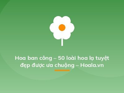 Hoa ban công – 50 loài hoa lạ tuyệt đẹp được ưa chuộng – Hoala.vn
