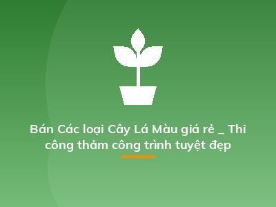 Bán Các loại Cây Lá Màu giá rẻ _ Thi công thảm công trình tuyệt đẹp