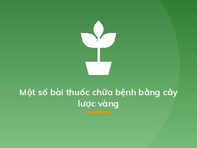 Một số bài thuốc chữa bệnh bằng cây lược vàng