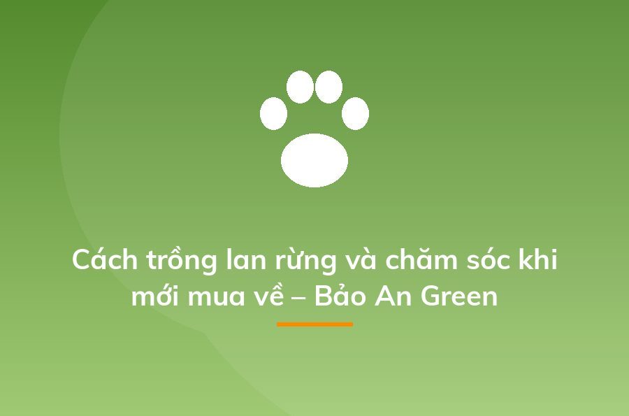 Kinh doanh cây cảnh - cách kiếm "một vốn bốn lời" nhanh nhất - Sapo