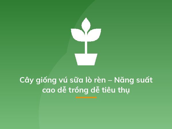 Cách trồng dạ yến thảo từ 1 nắm hạt cây, dễ ợt mà kết quả "hú hồn