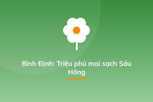 Bình Định: Triệu phú mai sạch Sáu Hồng