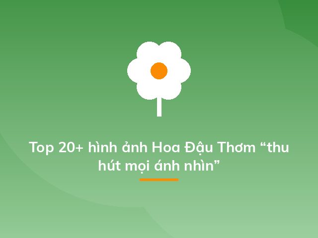 Top 20+ hình ảnh Hoa Đậu Thơm “thu hút mọi ánh nhìn”